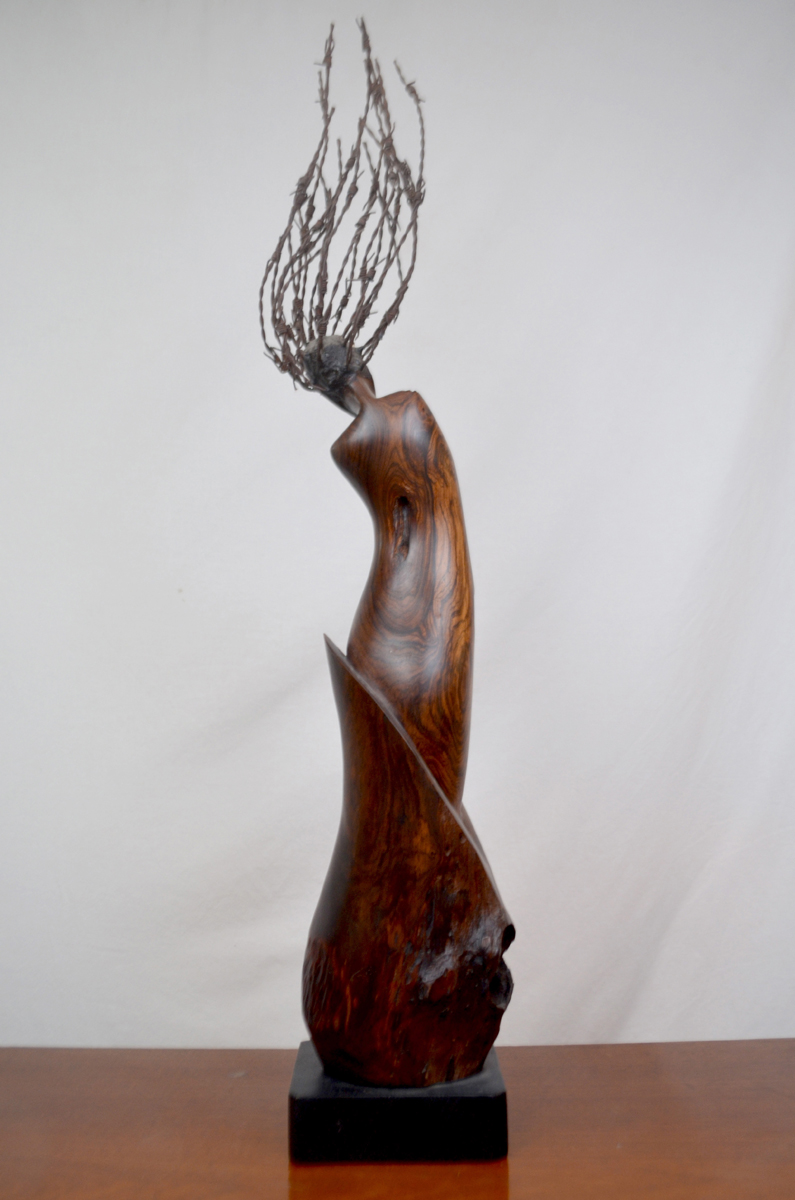 MEDUSA DE MADERA - Imagen 2