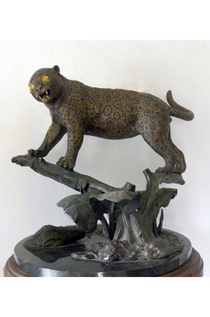 JAGUAR