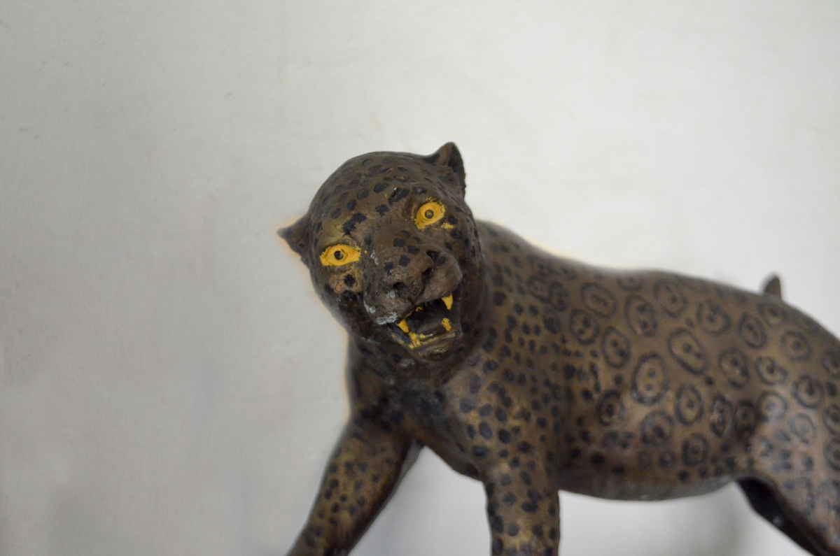 JAGUAR - Imagen 2