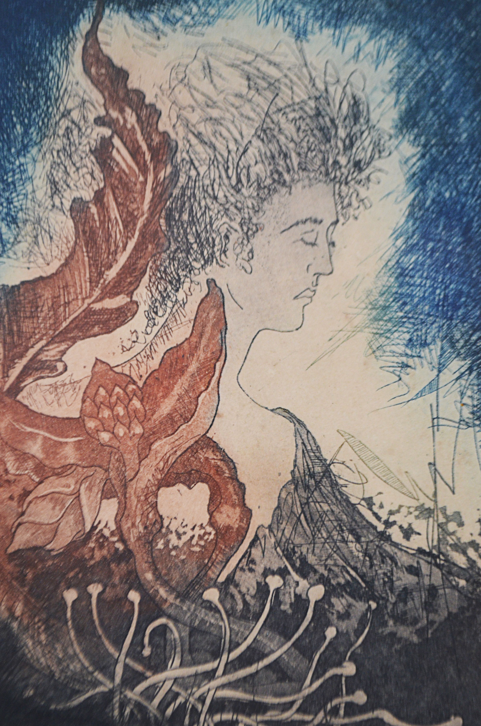 GRABADO DE JUAN JOSÉ BELTRÁN - Imagen 2